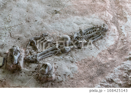 Human and dog skeletons with Dvaravati period items discovered in Si Thep Historical Park, Phetchabun Province, Thailand. Human and dog skeletons with Dvaravati period items discovered in Si Thep Historical Park, Phetchabun Province, Thailand. 108425143