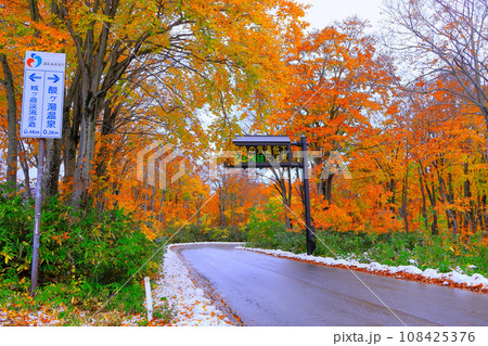 紅葉と雪のコラボレーション 紅葉と雪のコラボレーション 108425376