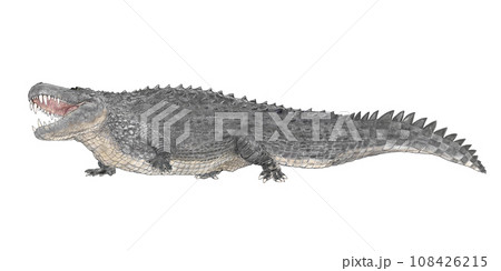 プルスサウルス　絶滅した古代のカイマン亜科の巨大ワニ 108426215