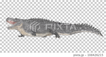 プルスサウルス　絶滅した古代のカイマン亜科の巨大ワニ 108426215