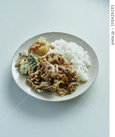 俯瞰で撮影した豚の生姜焼きのワンプレートランチ 108426285