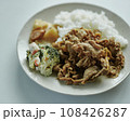 俯瞰で撮影した豚の生姜焼きのワンプレートランチ 108426287