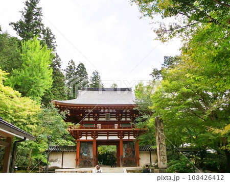 奈良 宇陀市 室生寺 仁王門(入山方向、秋) 奈良 宇陀市 室生寺 仁王門(入山方向、秋) 108426412