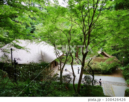 奈良 宇陀市 室生寺 金堂と弥勒堂と参道(秋) 奈良 宇陀市 室生寺 金堂と弥勒堂と参道(秋) 108426426