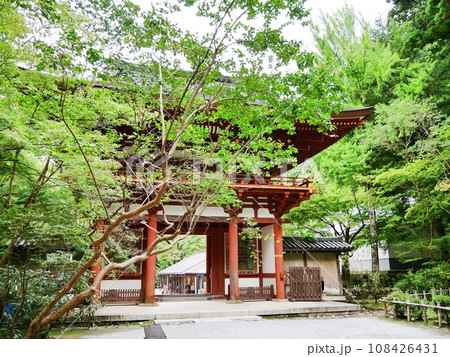 奈良 宇陀市 室生寺 仁王門(出山方向、秋) 奈良 宇陀市 室生寺 仁王門(出山方向、秋) 108426431