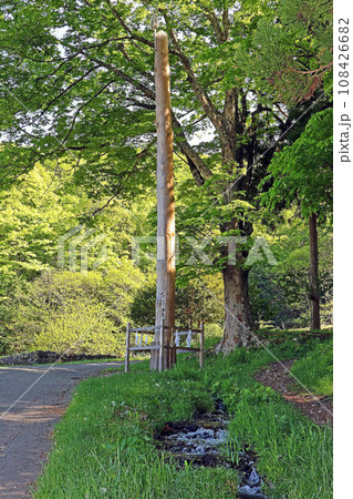 諏訪大社上社前宮(茅野) 諏訪大社上社前宮(茅野) 108426682