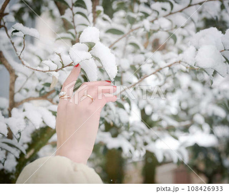 雪の積もった木の枝を触る女性の手 雪の積もった木の枝を触る女性の手 108426933
