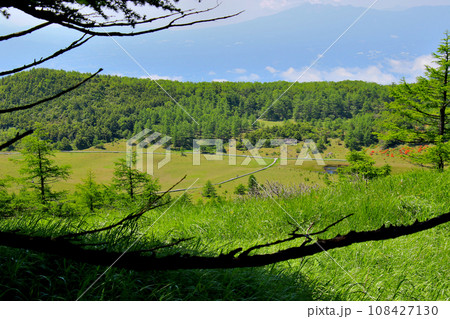 池の平湿原 108427130