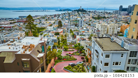 Aerial winding Lombard Street with cars going downhill with distant Coit Tower 108428153