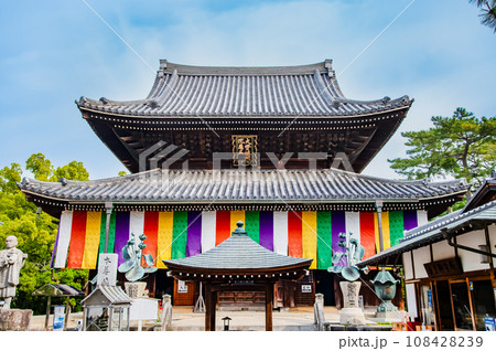 香川 善通寺 金堂 香川 善通寺 金堂 108428239