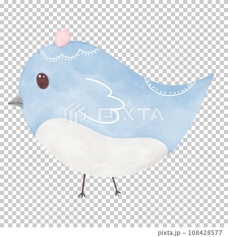 blue bird blue bird 108428577