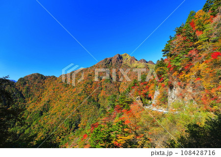 快晴のUFOラインの紅葉（伊予富士） 108428716