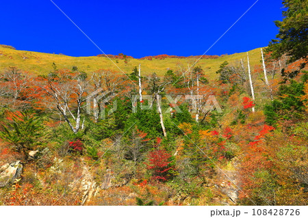 快晴のUFOラインの紅葉（東黒森山） 108428726