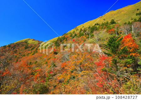 快晴のUFOラインの紅葉(東黒森山) 快晴のUFOラインの紅葉(東黒森山) 108428727