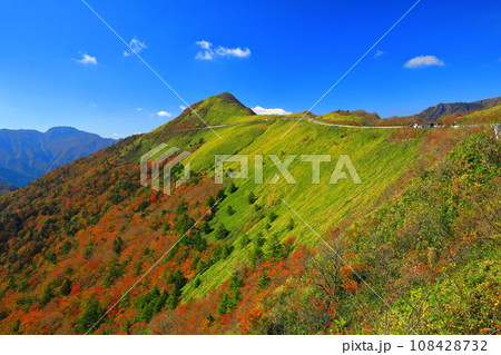 快晴下のUFOラインの紅葉（自念子の頭） 108428732