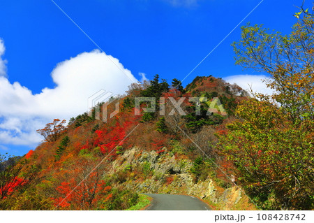 快晴下のUFOラインの紅葉 108428742