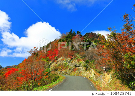 快晴下のUFOラインの紅葉 快晴下のUFOラインの紅葉 108428743