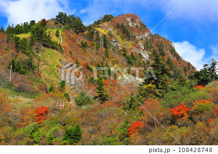 晴天の瓶ヶ森の紅葉 晴天の瓶ヶ森の紅葉 108428748