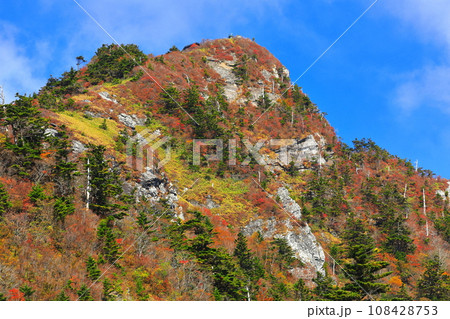 晴天の瓶ヶ森の紅葉 108428753