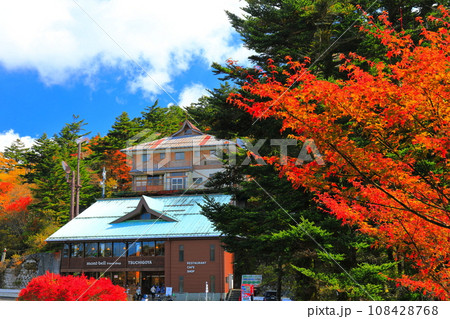 【愛媛県】石鎚山の土小屋テラスの紅葉 【愛媛県】石鎚山の土小屋テラスの紅葉 108428768