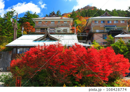 【愛媛県】石鎚山の土小屋テラスの紅葉 【愛媛県】石鎚山の土小屋テラスの紅葉 108428774