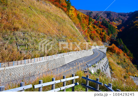 白山白川郷ホワイトロード 紅葉 国見展望台 石川県 白山白川郷ホワイトロード 紅葉 国見展望台 石川県 108429245