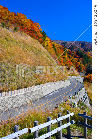 白山白川郷ホワイトロード 紅葉 国見展望台 石川県 白山白川郷ホワイトロード 紅葉 国見展望台 石川県 108429246