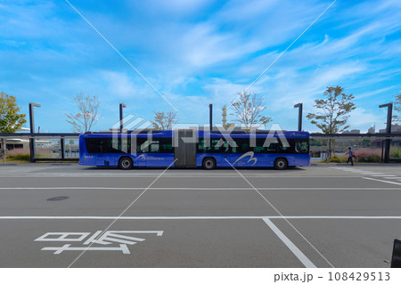 ベイサードブルー 108429513