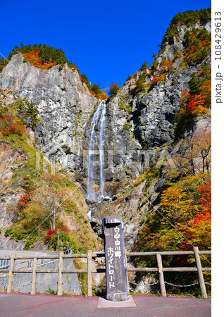 ふくべの大滝　紅葉　白山白川郷ホワイトロード 108429613