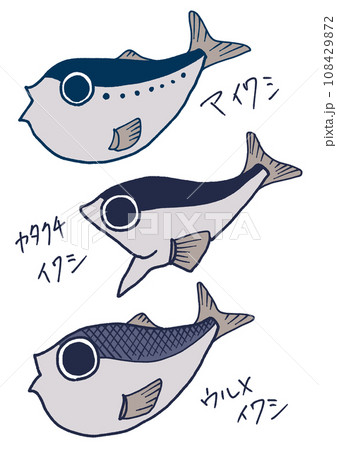 わかりやすいイワシのイラスト 108429872