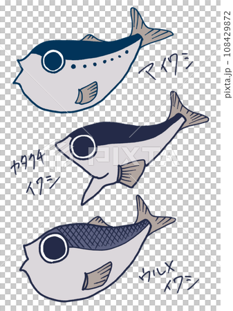 わかりやすいイワシのイラスト 108429872