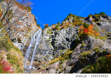 白山白川郷ホワイトロード　ふくべの大滝　紅葉　石川県 108429882