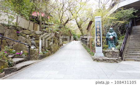 福岡の南蔵院 108431105