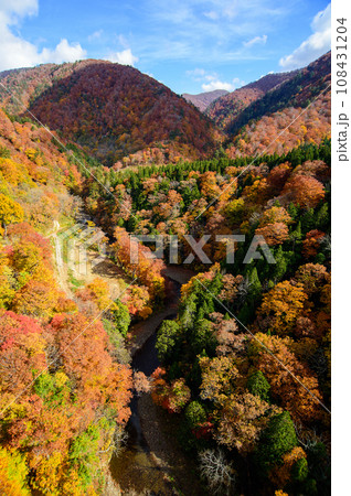 美しい紅葉　夢仙人大橋より　秋田県　東成瀬村 108431204