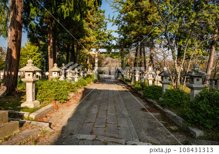 灯籠立ち並ぶ三尾神社参道 大津市 灯籠立ち並ぶ三尾神社参道 大津市 108431313