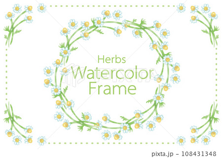 アロマに使われるハーブ・植物のイラスト・フレーム。水彩風ベクター素材 108431348