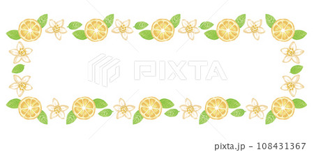 アロマに使われるハーブ・植物のイラスト・フレーム。水彩風ベクター素材 108431367