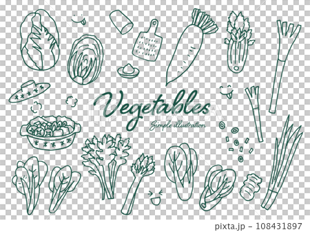 蔬菜的粗糙手繪插圖 蔬菜的粗糙手繪插圖 108431897