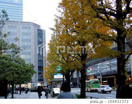 東京駅丸の内口前と銀杏並木 東京駅丸の内口前と銀杏並木 108432372