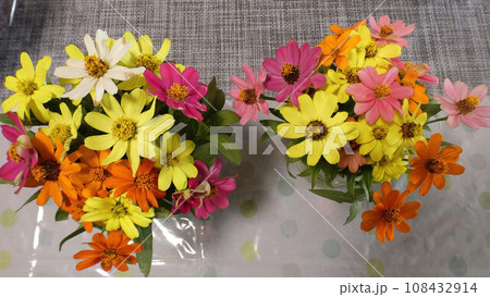 カラフルな切り花 108432914