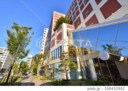福岡市科学館 福岡市中央区六本松4-2-1 福岡市科学館 福岡市中央区六本松4-2-1 108432982