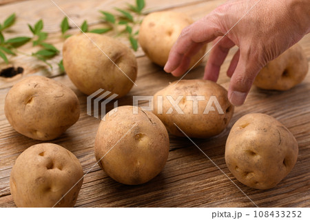 じゃがいも 男爵芋 108433252