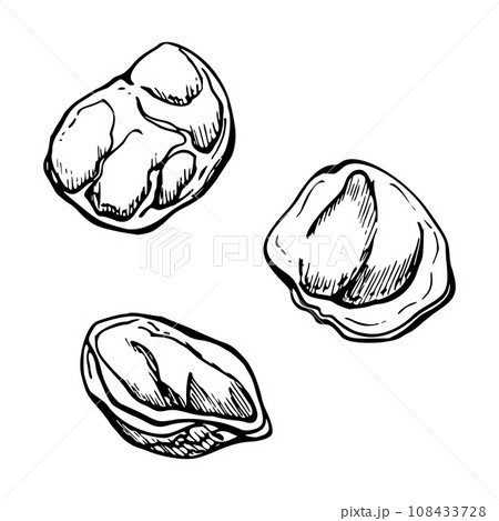 Hand drawn vector ink illustration. Types of pasta Italian cuisine conchiglie, orecchiette. Set of single object elements isolated on white. For restaurant, menu, food shop and package, flyer, print. Hand drawn vector ink illustration. Types of pasta Italian cuisine conchiglie, orecchiette. Set of single object elements isolated on white. For restaurant, menu, food shop and package, flyer, print. 108433728