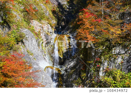 かもしか滝 紅葉 白山白川郷ホワイトロード 石川県 かもしか滝 紅葉 白山白川郷ホワイトロード 石川県 108434972