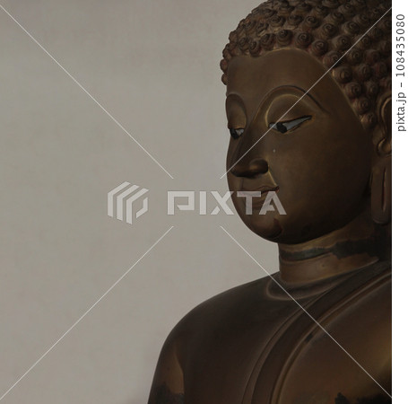 尊敬崇拝する人物の彫像ポートレート 108435080