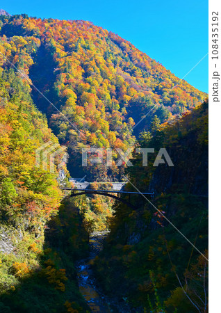 白山白川郷ホワイトロード　蛇谷大橋　蛇谷渓谷　紅葉 108435192