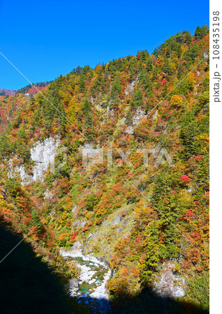 白山白川郷ホワイトロード　紅葉　蛇谷渓谷　石川県 108435198