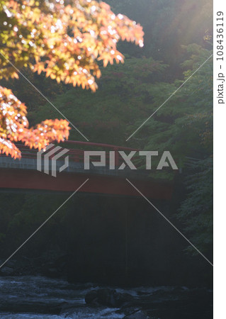 渓谷に架かる橋と色づきはじめの紅葉 108436119