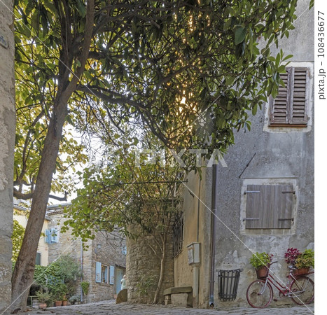 Picture from the town of Groznjan with idyllic cobbled streets and buildings made of natural stone 108436677
