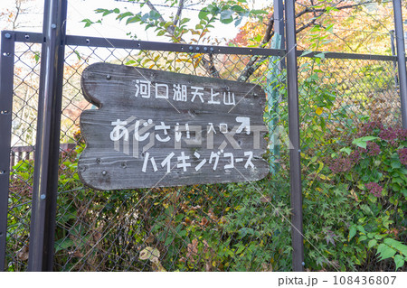 天上山の登山口(河口湖富士山パノラマロープウェイ付近) 天上山の登山口(河口湖富士山パノラマロープウェイ付近) 108436807